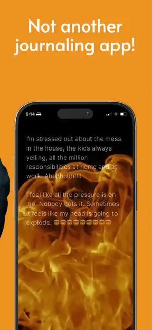 Burn Notes screenshot 3
