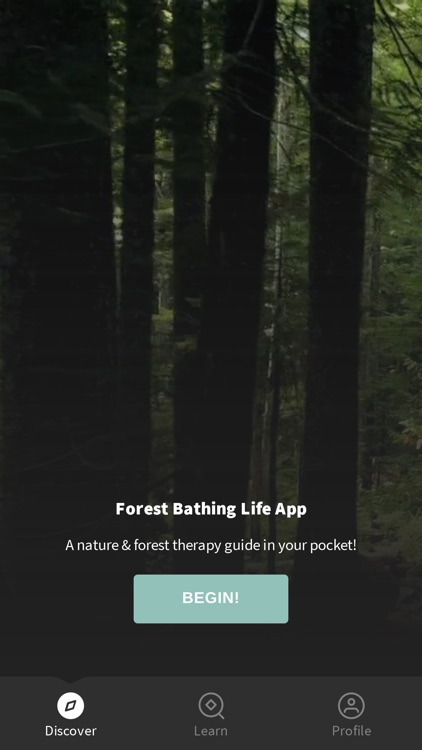 Forest Bathing Life