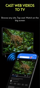 Cast to TV - CastBrowser screenshot