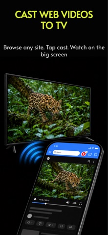 Cast to TV - CastBrowser screenshot