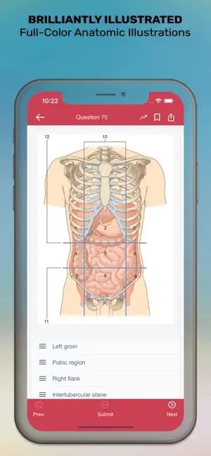 Gray's Anatomy Audio Hot Spots screenshot 4