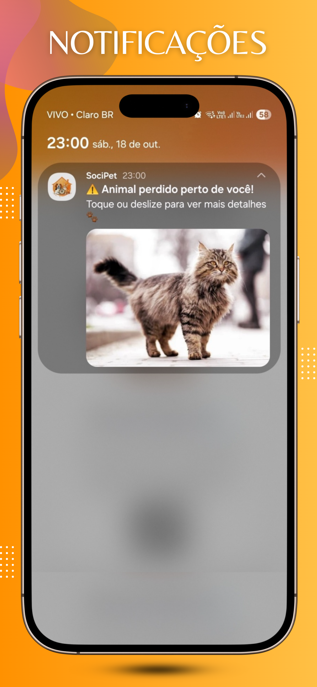 SociPet: Encontre e Ajude Pets screenshot 4