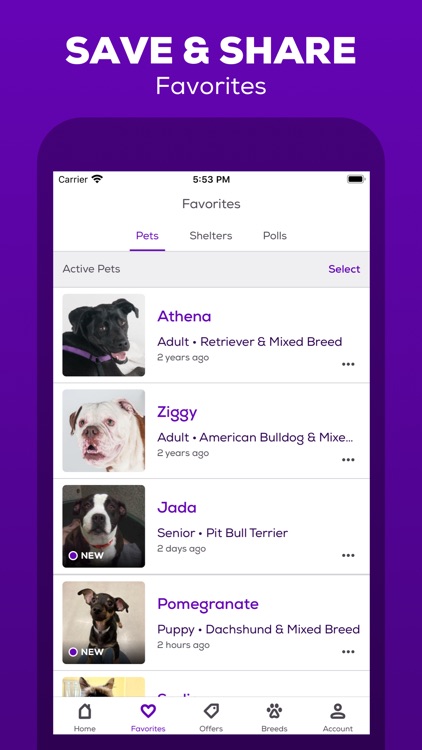 Petfinder - Adopt a Pet screenshot-3