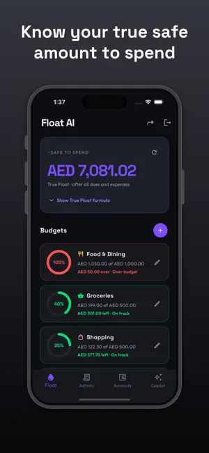 Float AI Expense Tracker screenshot 1