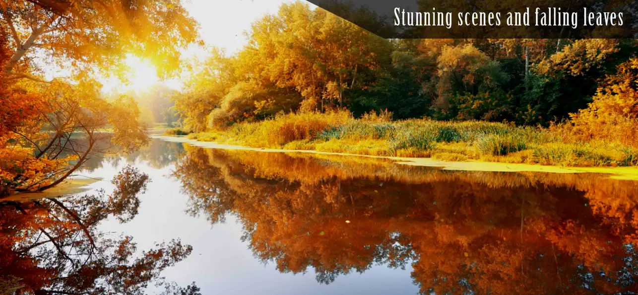 Screenshot #3 pour Autumn Ambience