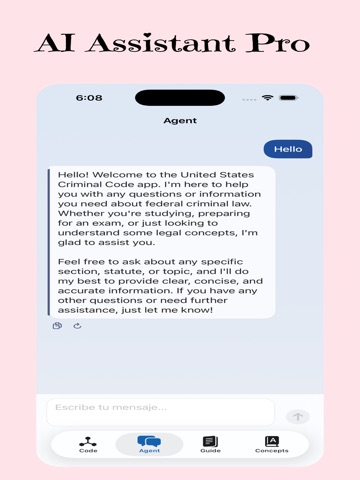 United States Criminal Code iPad screenshot
