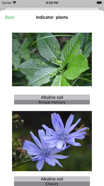 Mein Garten Tagebuch screenshot-7