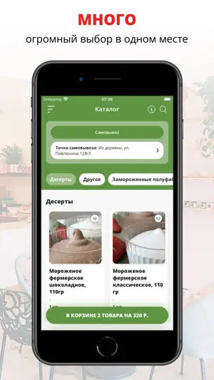 ИЗ ДЕРЕВНИ | Казань screenshot 1