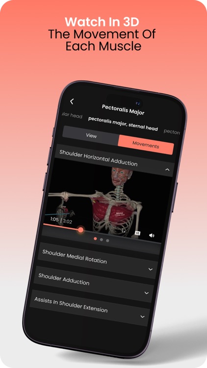 Anatomy by M&M screenshot-3