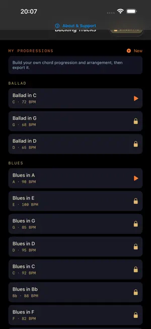 SUS4 Backing Tracks: Jam Along screenshot 1