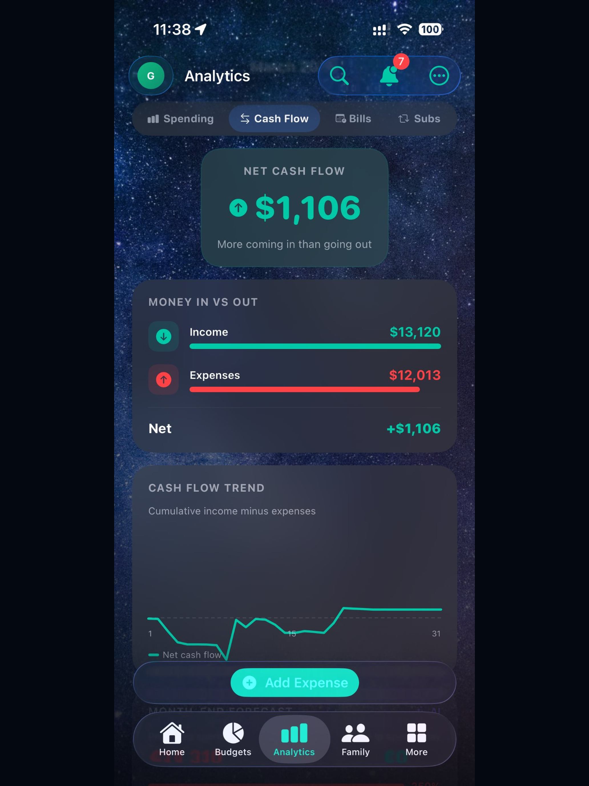 Tally - Budget Buddy screenshot 13