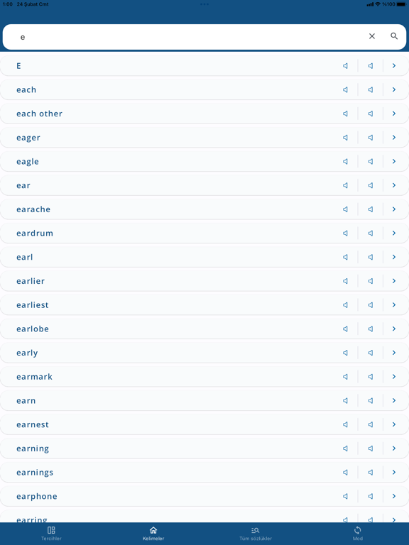Turkish English Dictionary - iPad screenshot 8 - Reference app