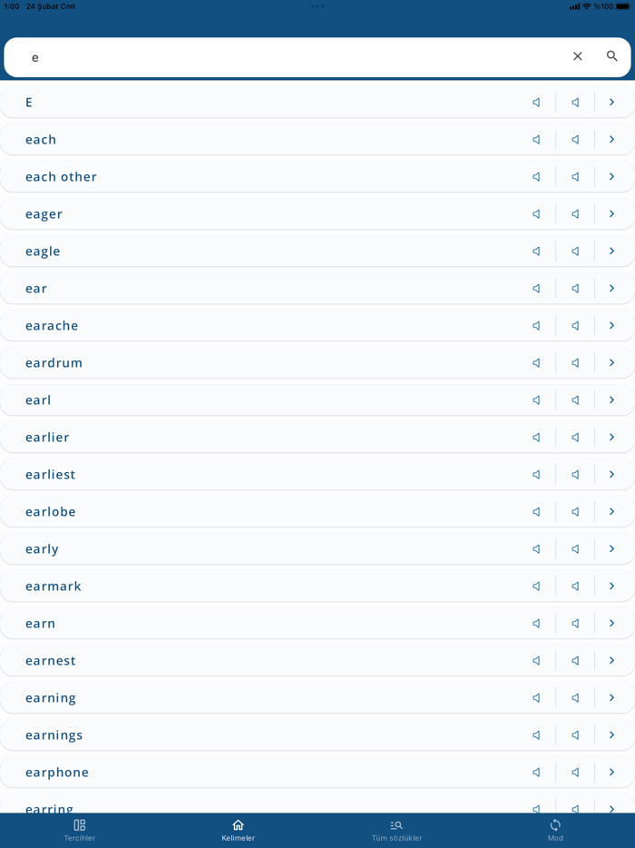 Turkish English Dictionary -