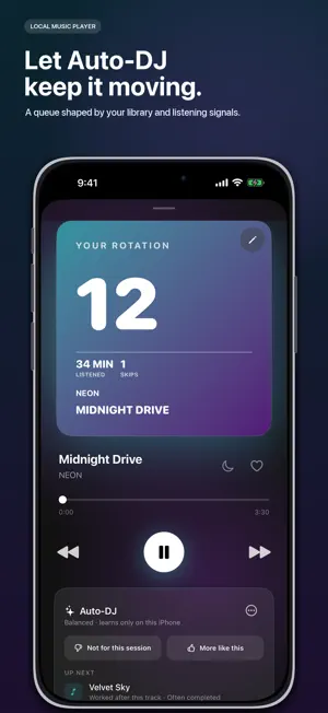 Local Music Player - Offline screenshot 2