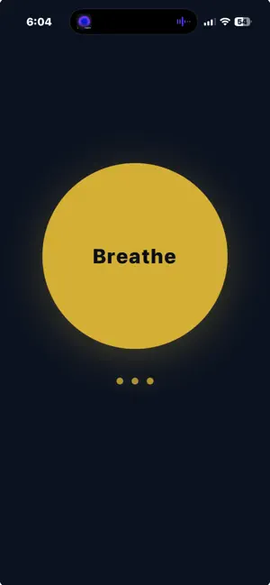 Abundance FM screenshot 2