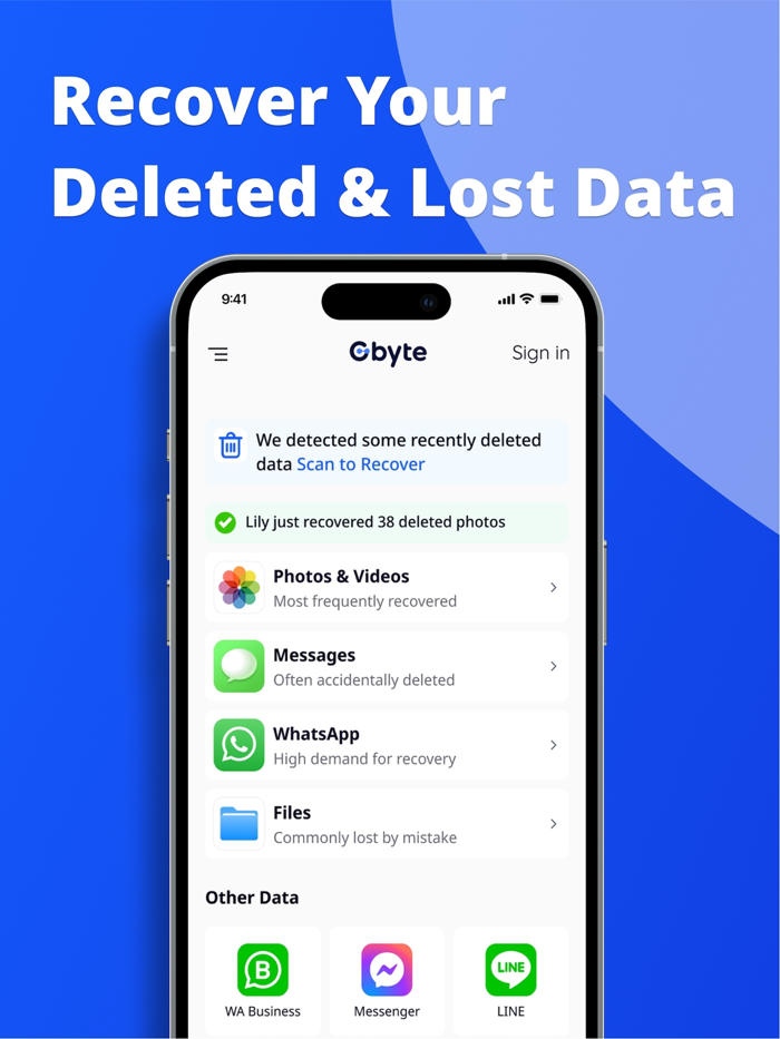 Gbyte Data Recovery