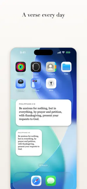 Bible, Verse by Verse screenshot 2
