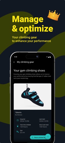 Lizcore Climber screenshot
