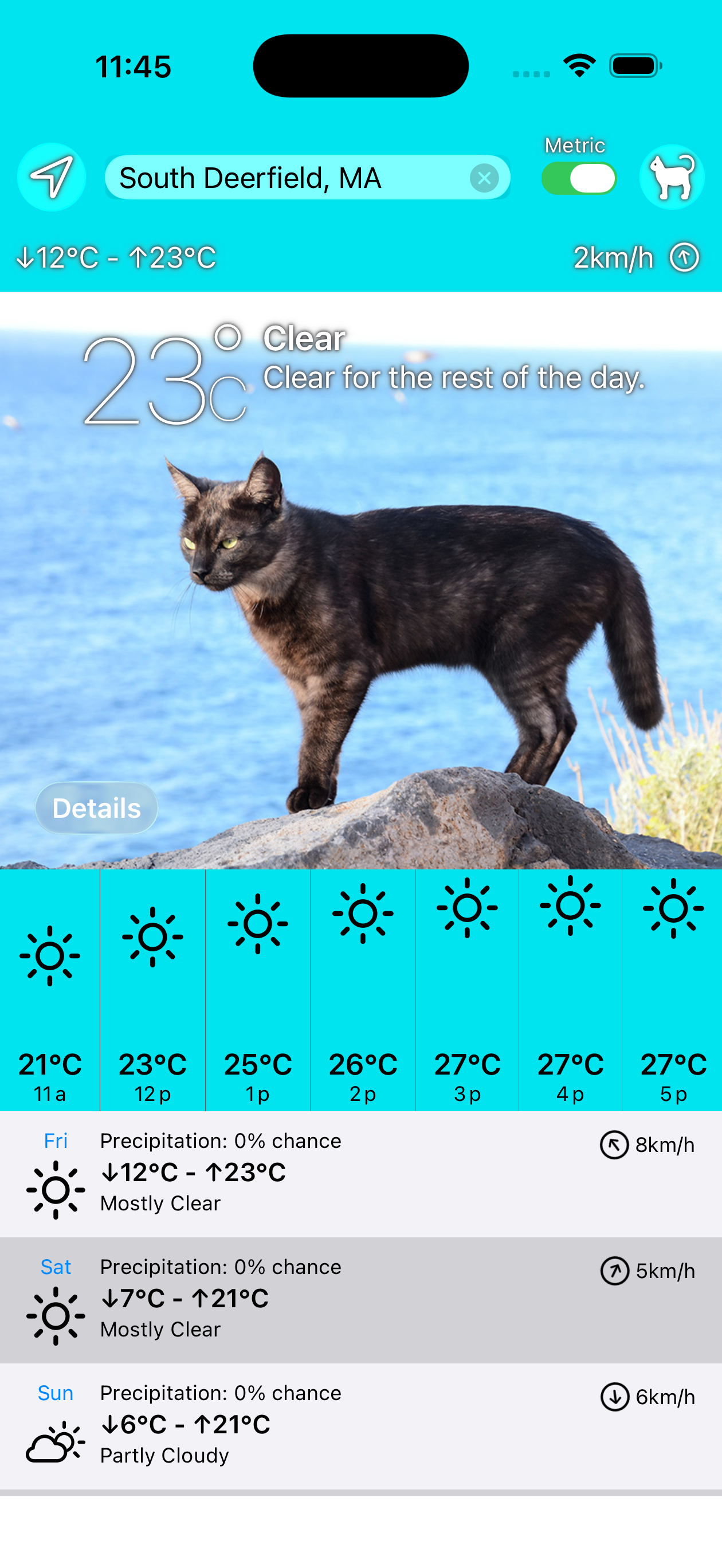 Sunkitty