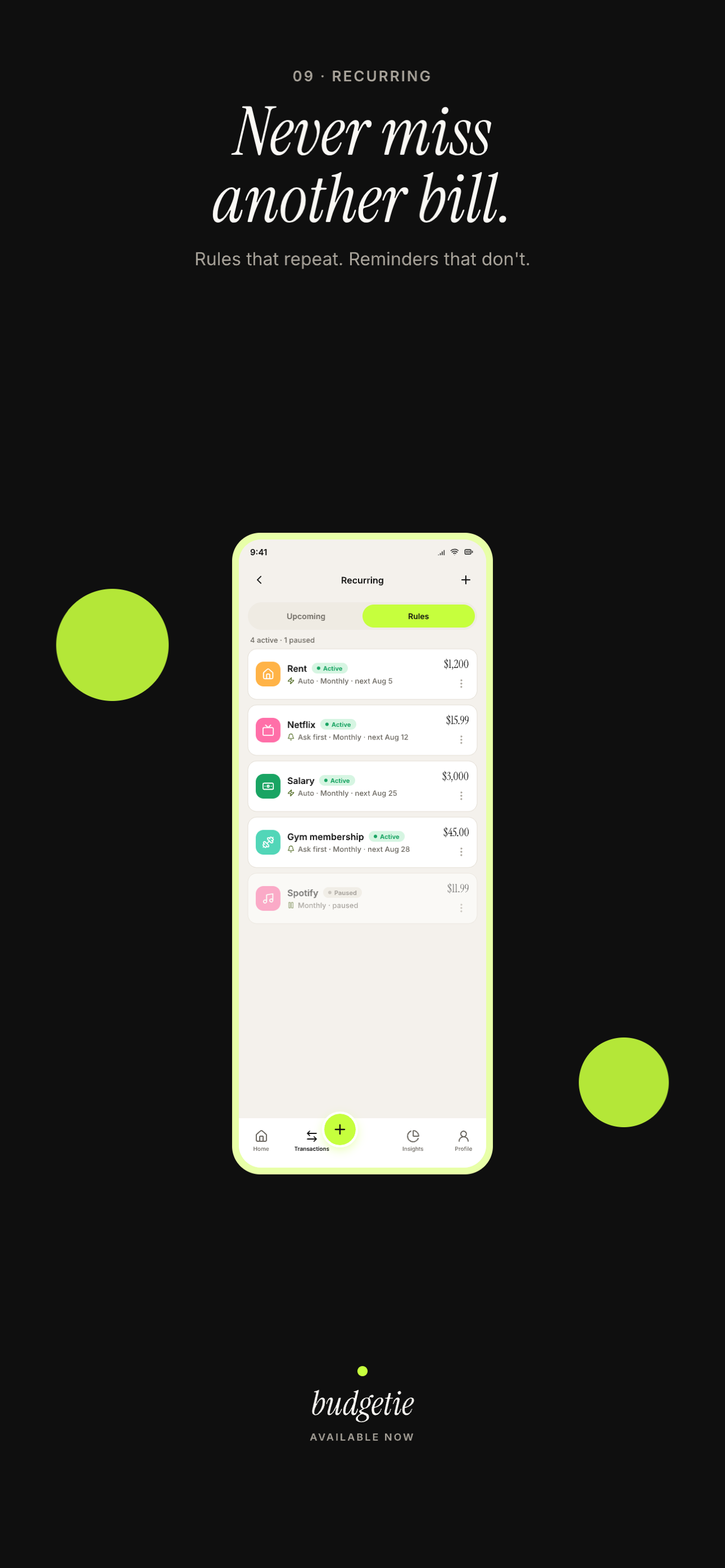 Budgetie screenshot 3