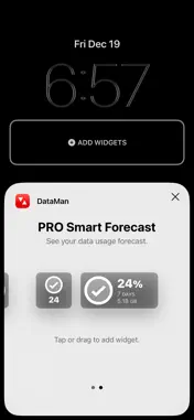 DataMan - Data Usage Widget screenshot 2