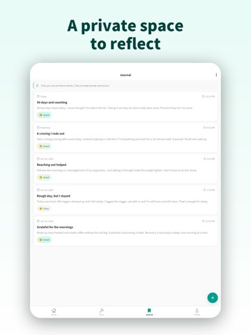 Strive - Recovery Tracker iPad screenshot