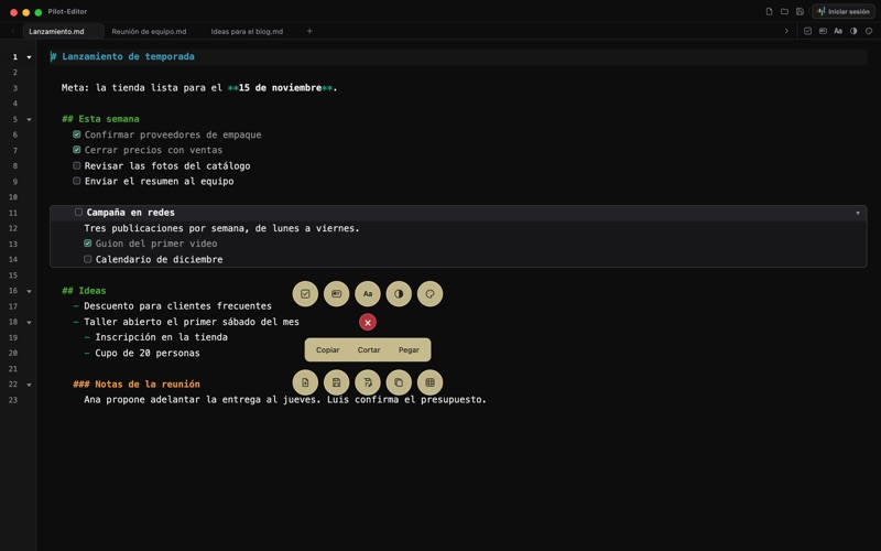 Pilot Editor screenshot 2