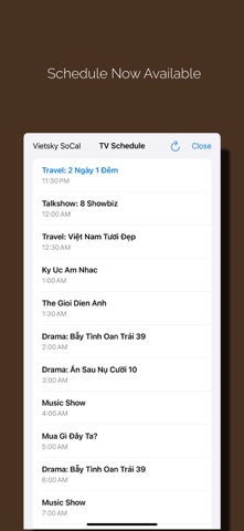 Vietsky screenshot