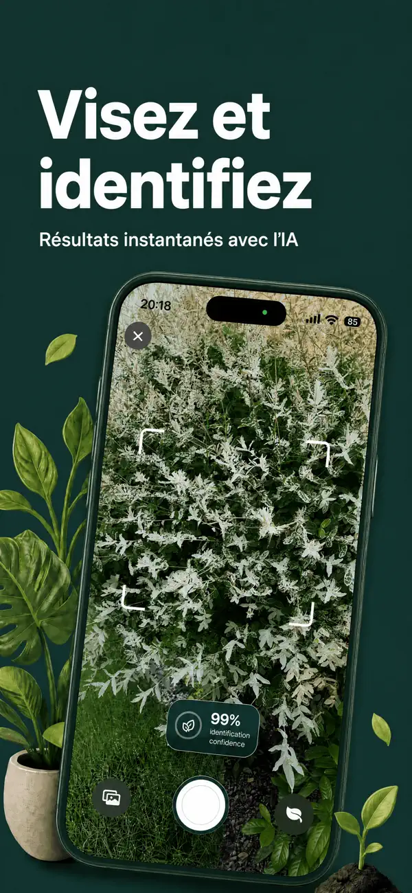 Screenshot #2 pour Arbori – Identifier une plante