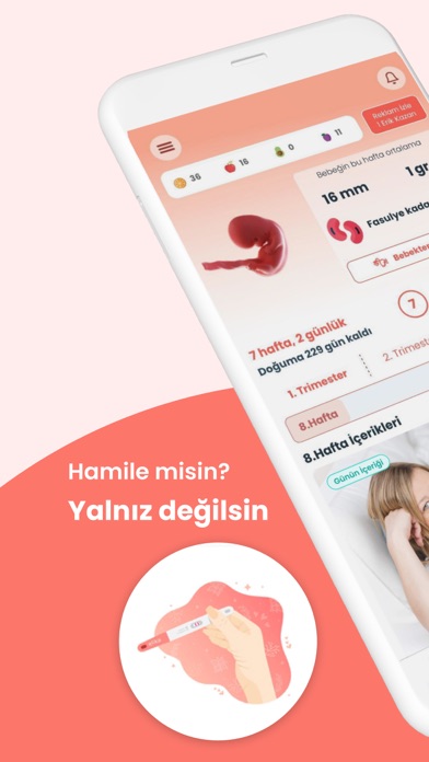 Screenshot #2 pour Hamilelik Takibi + Gebelik