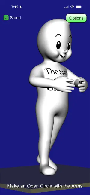 Tai Chi Spirit screenshot 3