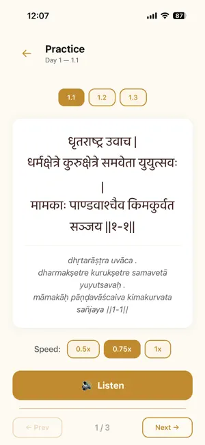 Gita Chanter screenshot 4