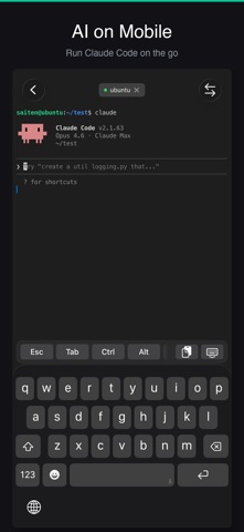 SaiTerm screenshot