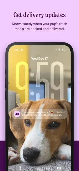 Ollie - Human Grade Dog Food screenshot 2