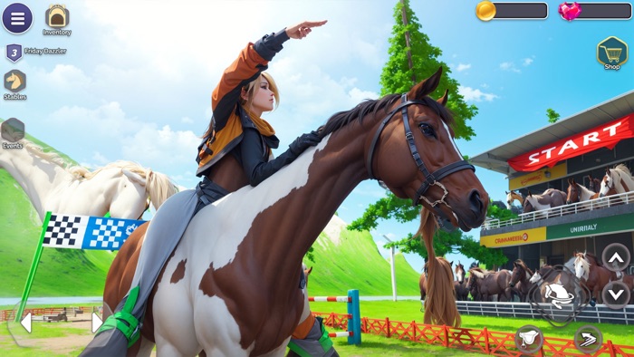 My Fantasy Horse Care Academy