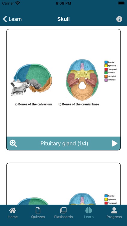 UBC Human Anatomy App screenshot-5
