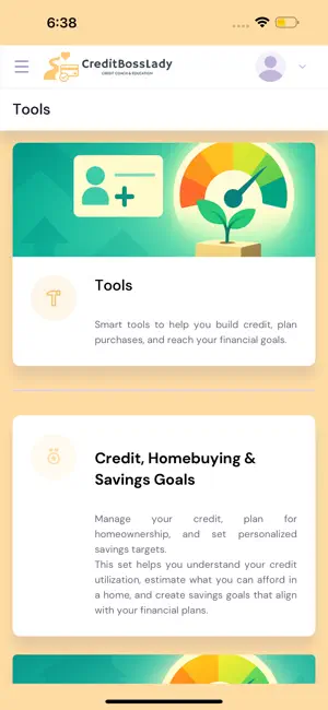 Credit Boss Lady screenshot 3