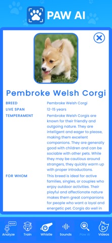 Dog Translator* screenshot