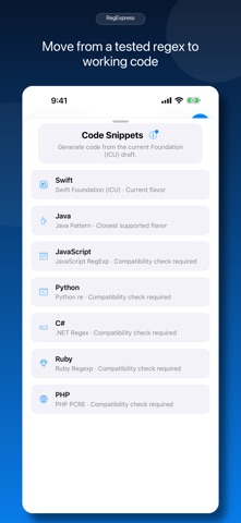 RegExpress screenshot