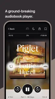 Libby, the library app screenshot 7