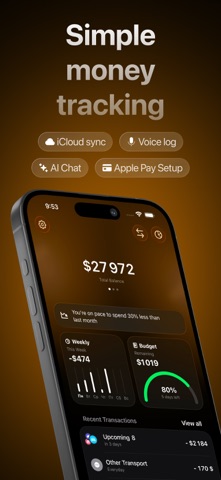 Lode: AI Expense Tracker Screenshot 1 of 8