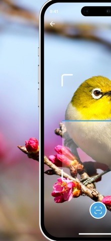 Bird Identifier AI Screenshot 1 of 4