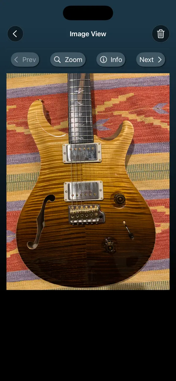 AllMyGuitars Screenshot 3
