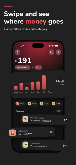 Money & Expense Tracker: Lichy screenshot 3
