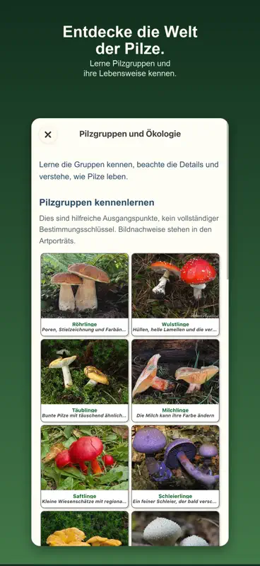 Shroomify - Mushroom ID USA screenshot 4 of 4