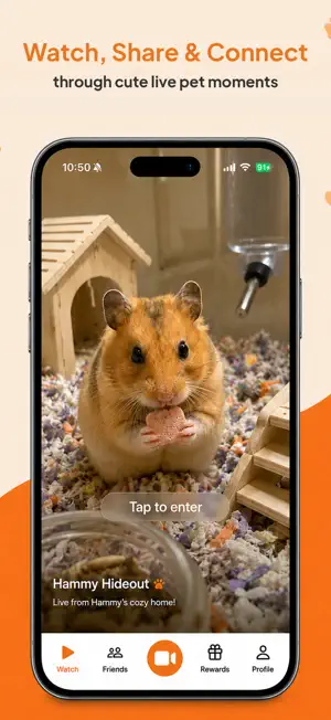 FurNow: Live Pet Community screenshot 1
