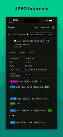Fileyan Screenshot 3 of 9