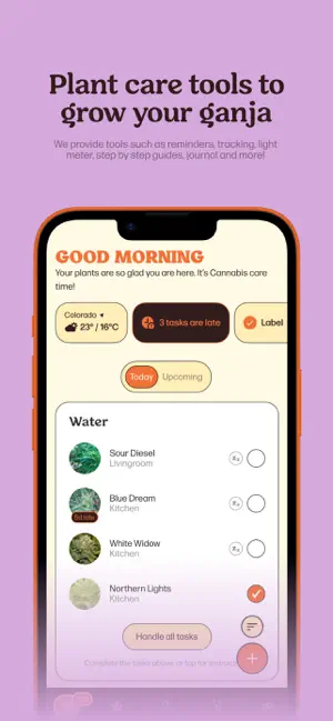 Hampa: Grow Cannabis screenshot 2