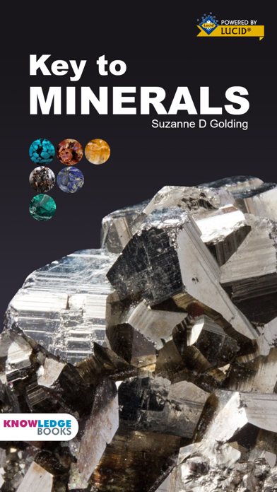 Screenshot #1 pour Mineral Key