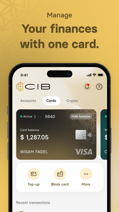 Credit Investment Bank Screenshot